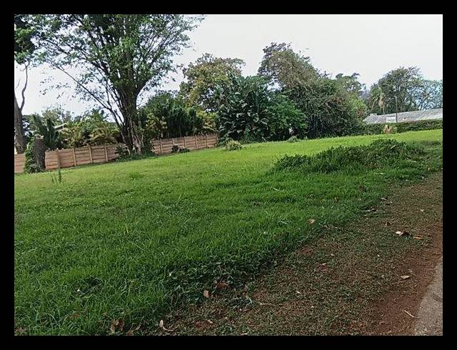 0 BEDROOM APARTMENT FOR SALE IN FELIXTON